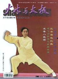 少林与太极,传统武术文化的交融与传承