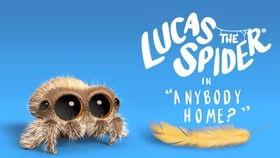 小蜘蛛卢卡斯,网罗梦想，编织未来