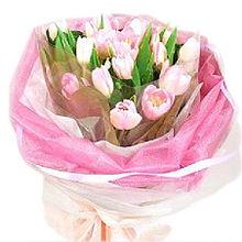 面包与郁金香,探寻历史与文化的交融之美