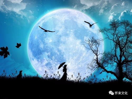 月亮天堂,探寻神秘月球的奇幻之旅