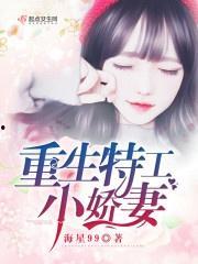 特工娇妻,隐秘身份下的甜蜜较量